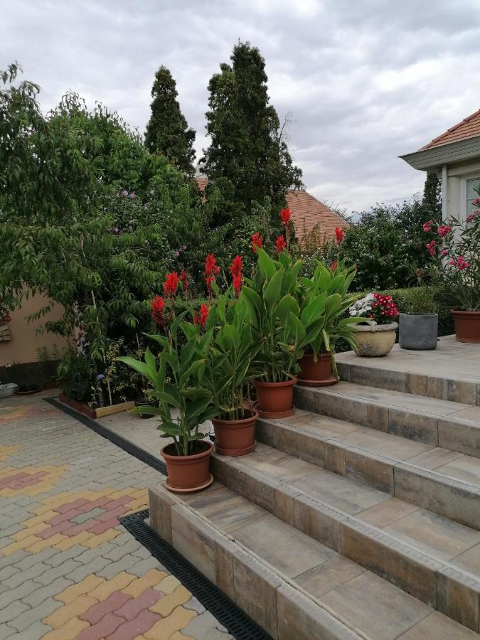 Kaktuszvirag Apartmanhaz Hajduszoboszlo Exterior photo