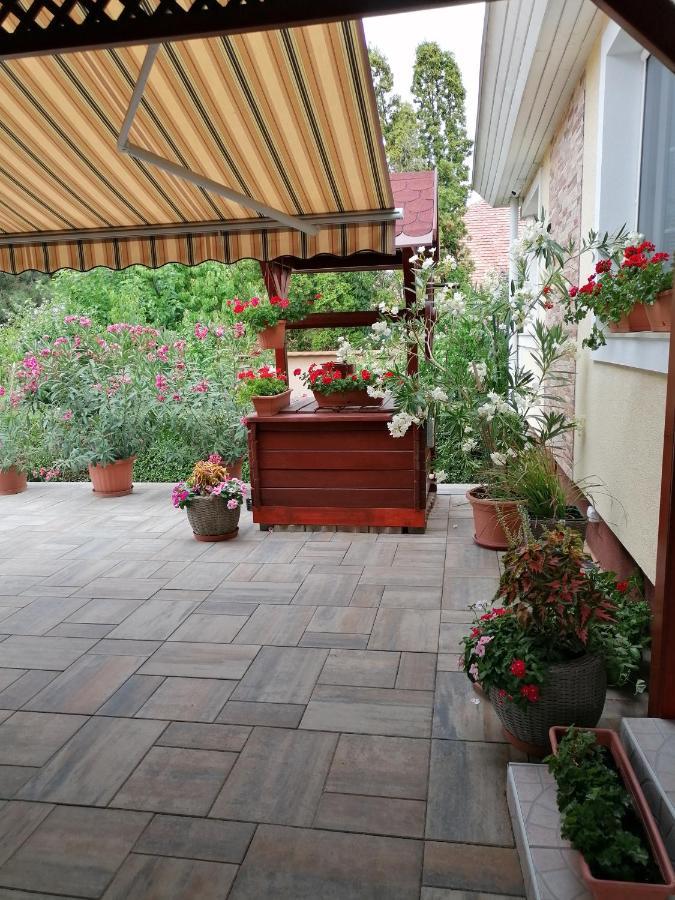 Kaktuszvirag Apartmanhaz Hajduszoboszlo Exterior photo