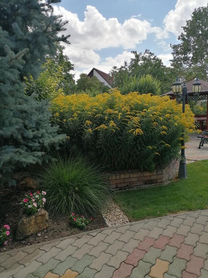 Kaktuszvirag Apartmanhaz Hajduszoboszlo Exterior photo