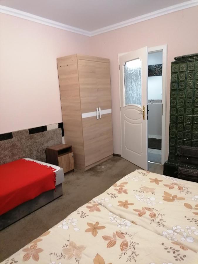 Kaktuszvirag Apartmanhaz Hajduszoboszlo Exterior photo